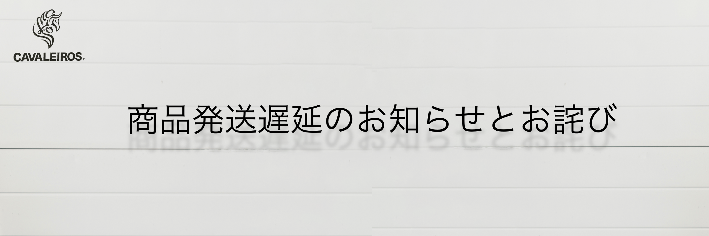 訳あり商品 引越し中発送等遅延します:オヂサン様 慶應SFCの小論文対策