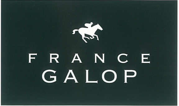【France Galop】フランスギャロ Official タオル Navy / White