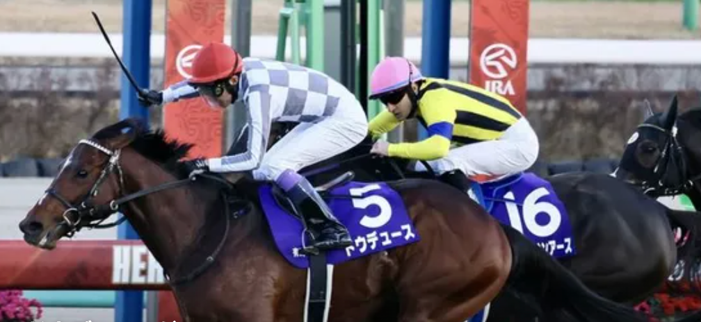 【ドウデュース】Do Deuce KIEFERS Official 有馬記念2023 優勝CAP