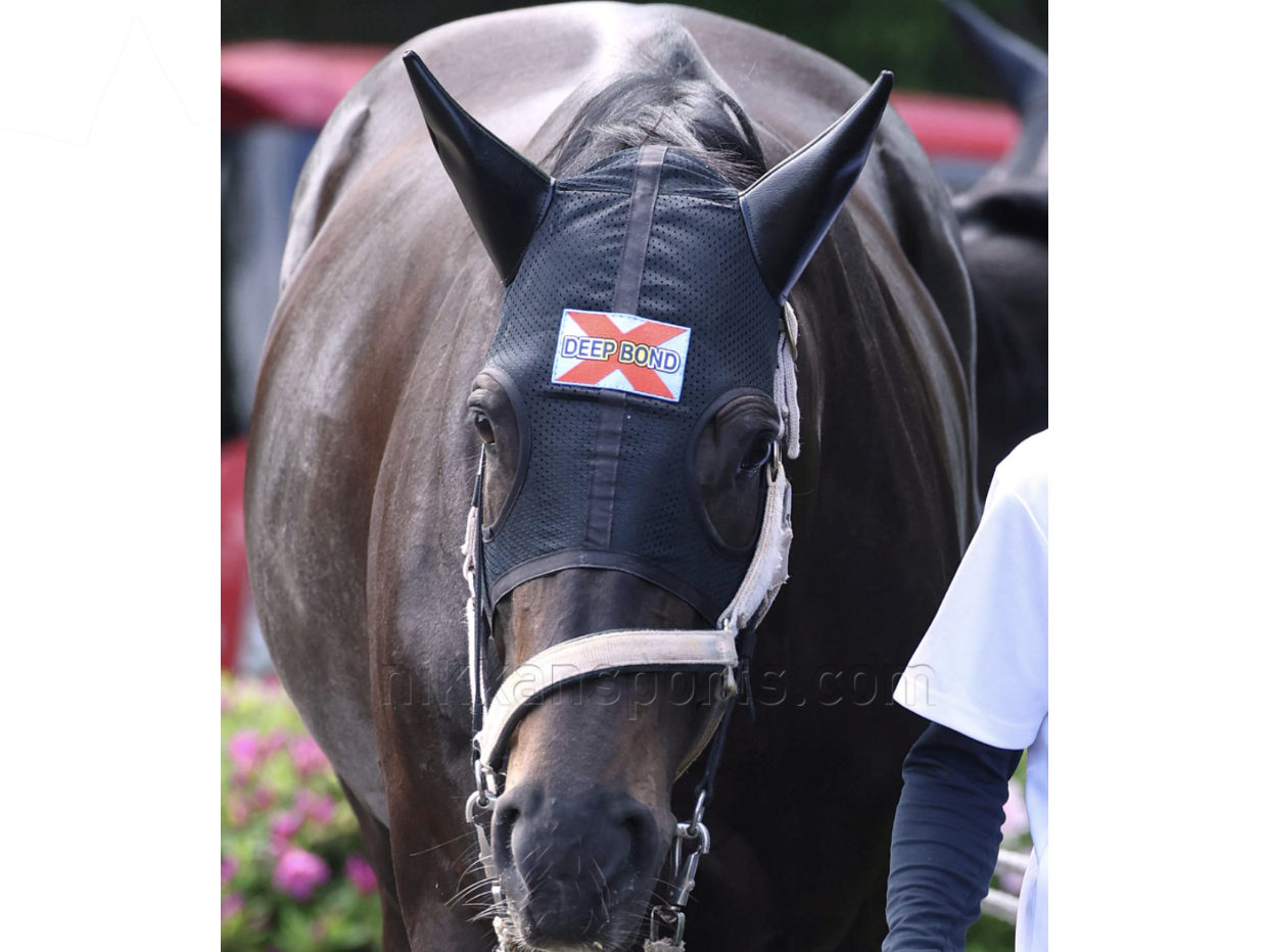 【ディープボンド】Deep Bond 2024 天皇賞・春 " Tenno sho spring " V version Black