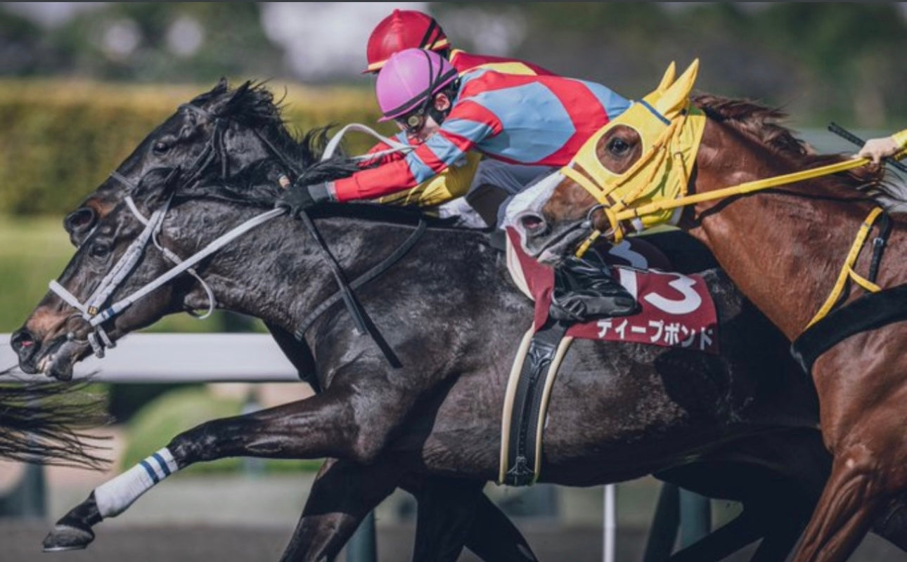 【ディープボンド】DEEP BOND公式 漆黒バージョン Black T-Shirts / GOLD Version