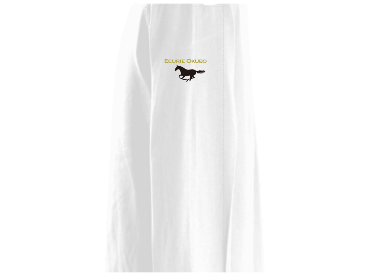 【ディープボンド】ロング T-シャツ DEEPBOND LONG T 2023 絆バージョン White/Gold