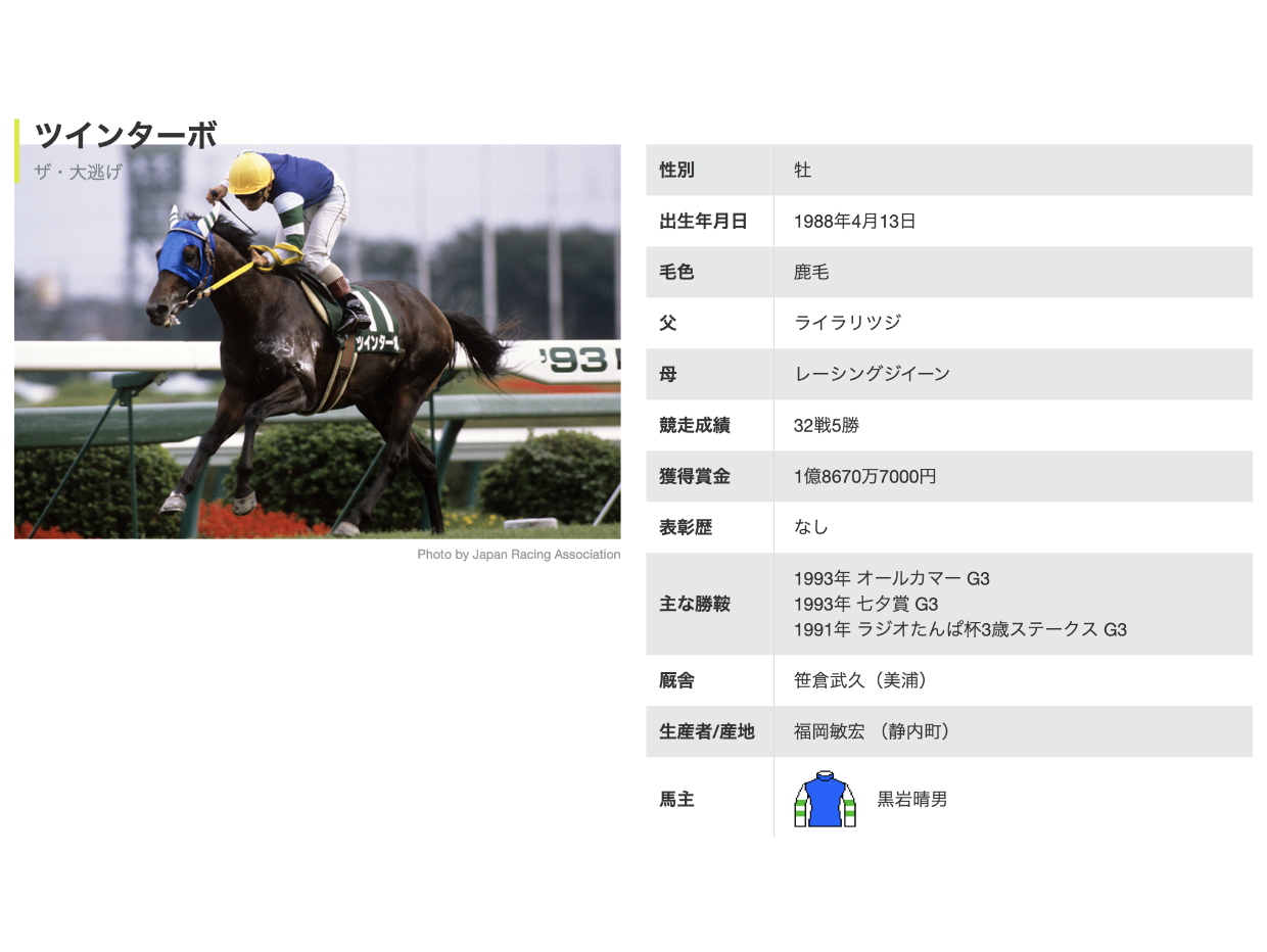 【ツインターボ】公式 ロング T-シャツ Twin Turbo Long T 2023 Blue