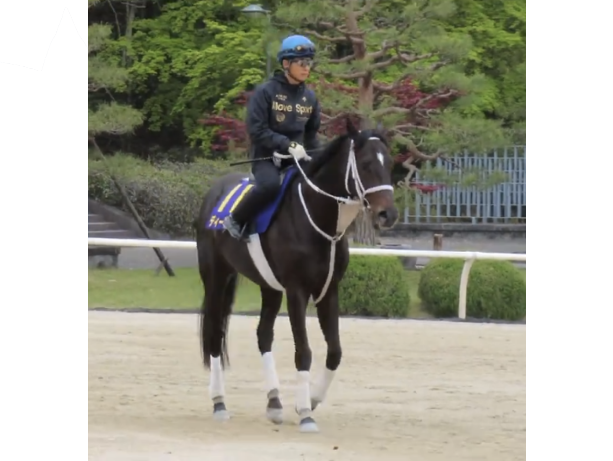 【ディープボンド】Deep Bond 2024 天皇賞・春 " Tenno sho spring " V version White