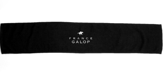 30%OFF【France Galop】フランギャロ デニム製 ルミナスジョッキーパーカー France Galop Jockeys Denim Hoodie Luminous Version