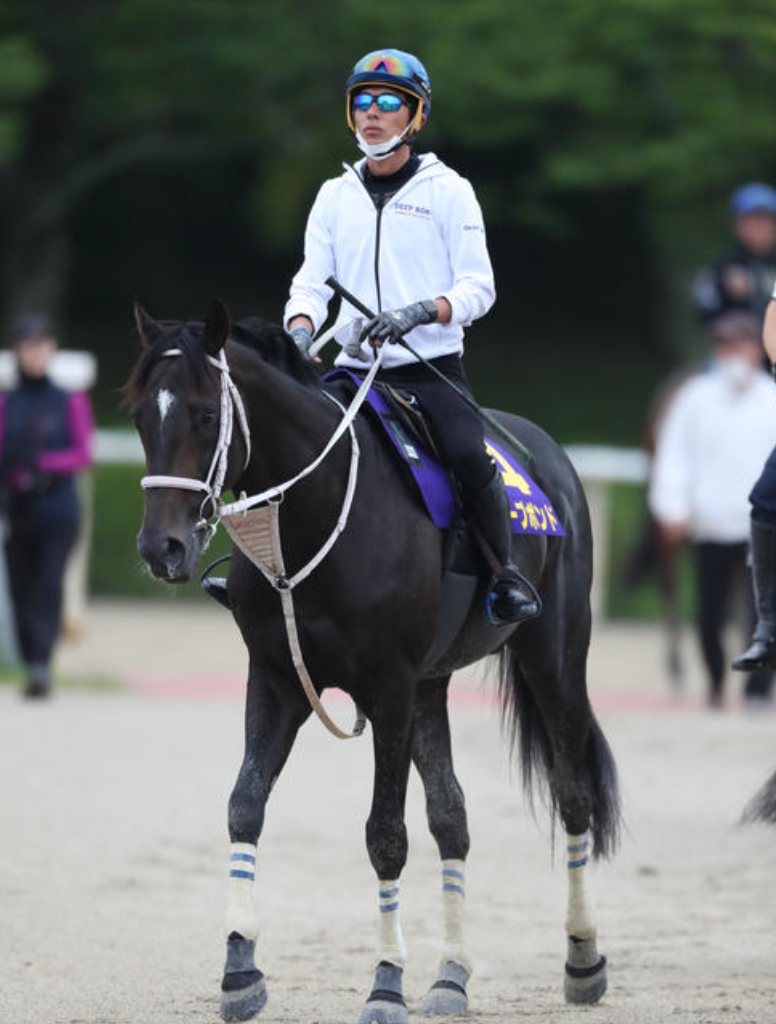 【30 Pieces Limited】Official "Okubo Stable Ver." Jockey Hoodie for the Deep Bond Fore Award 2021 Winner - Restocked!
