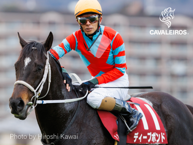 【ディープボンド】凱旋門賞公式 DEEPBOND 絆” Version 2022 スタッフ Tシャツ(RoyalBlue)