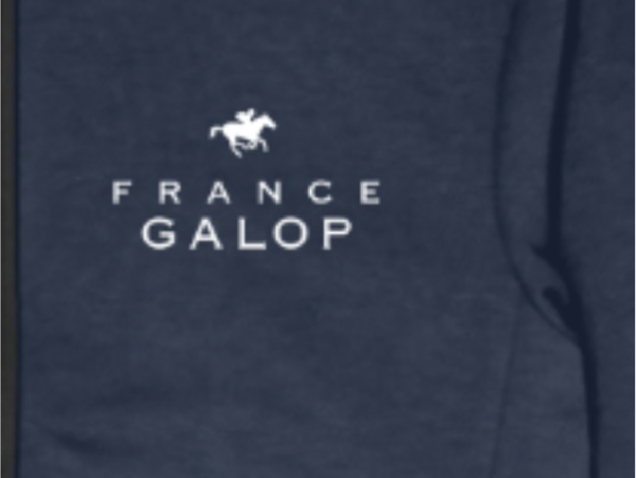 【France Galop】フランスギャロ公式 ジョッキージャケット (Dry Sweat Zip Jockey Jacket Navy)