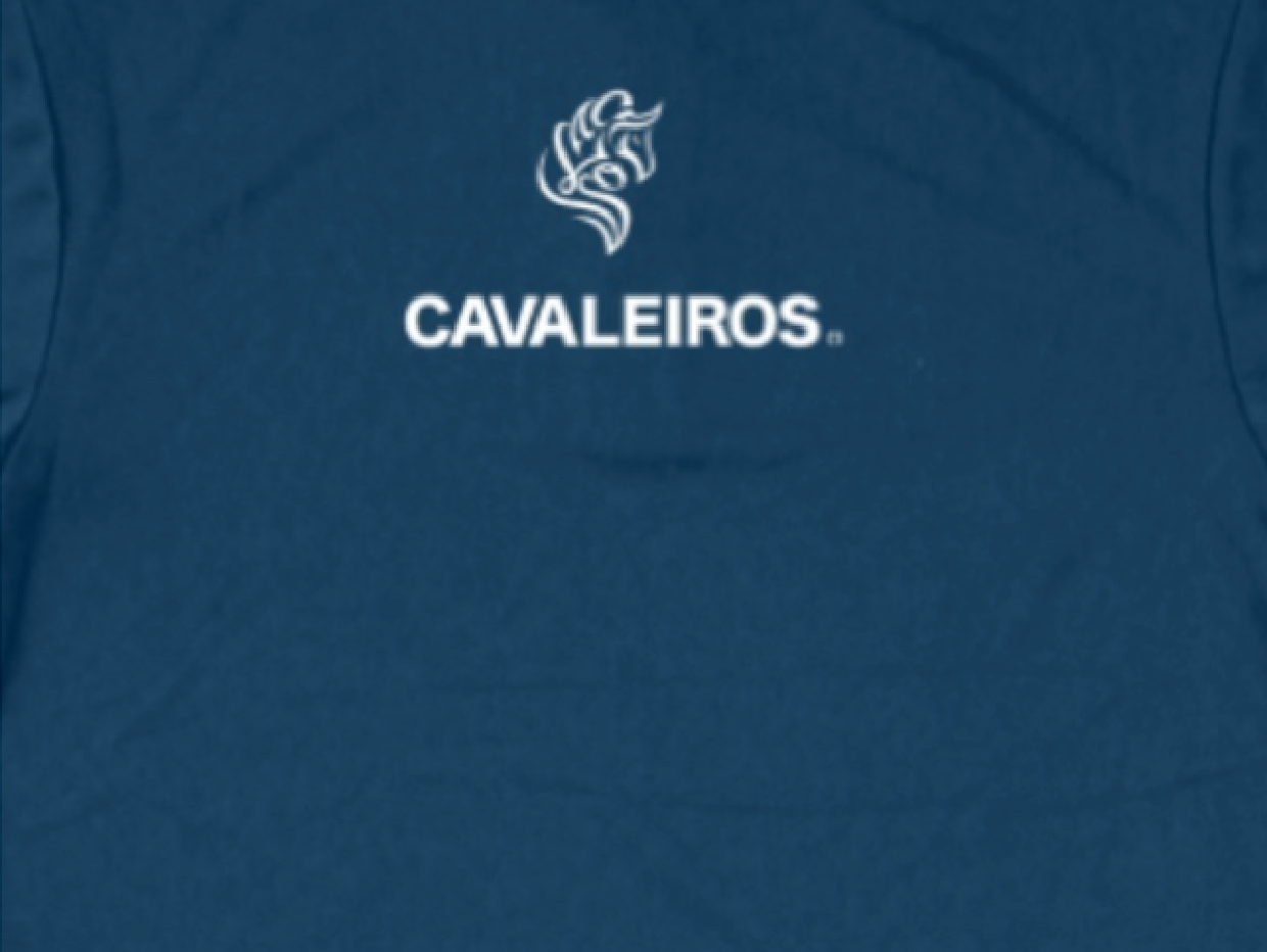【CAVALEIROS】 カバレイロス ポロシャツ ネイビー POLO SHIRTS (Navy)