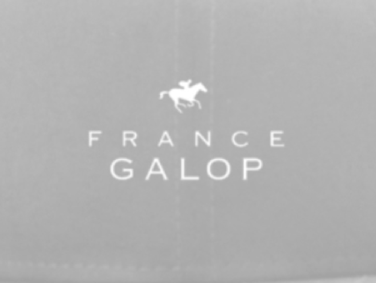 【France Galop】フランスギャロ NEWERA FRANCE GALOP ( NEWERA 9FIFTY FLAT BILL SNAP BACK CAP GRAY)