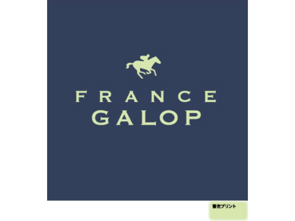 30%OFF【France Galop】フランギャロ デニム製 ルミナスジョッキーパーカー France Galop Jockeys Denim Hoodie Luminous Version