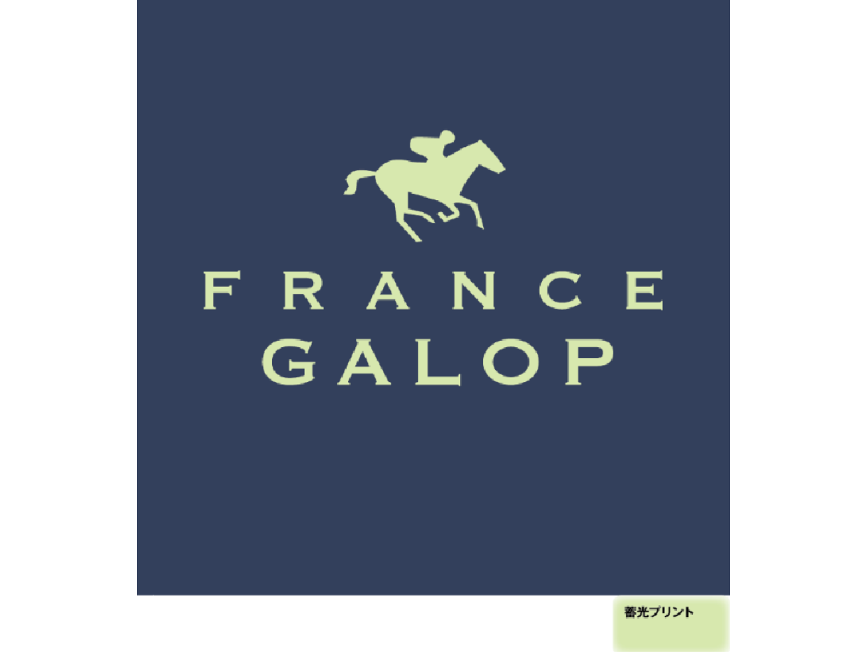 30%OFF【France Galop】フランギャロ デニム製 ルミナスジョッキーパーカー France Galop Jockeys Denim Hoodie Luminous Version