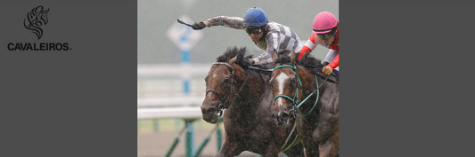 第65回 宝塚記念 （京都競馬場 芝 G1 2200m）結果