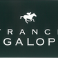 【France Galop】フランスギャロ Official  タオル Navy / White