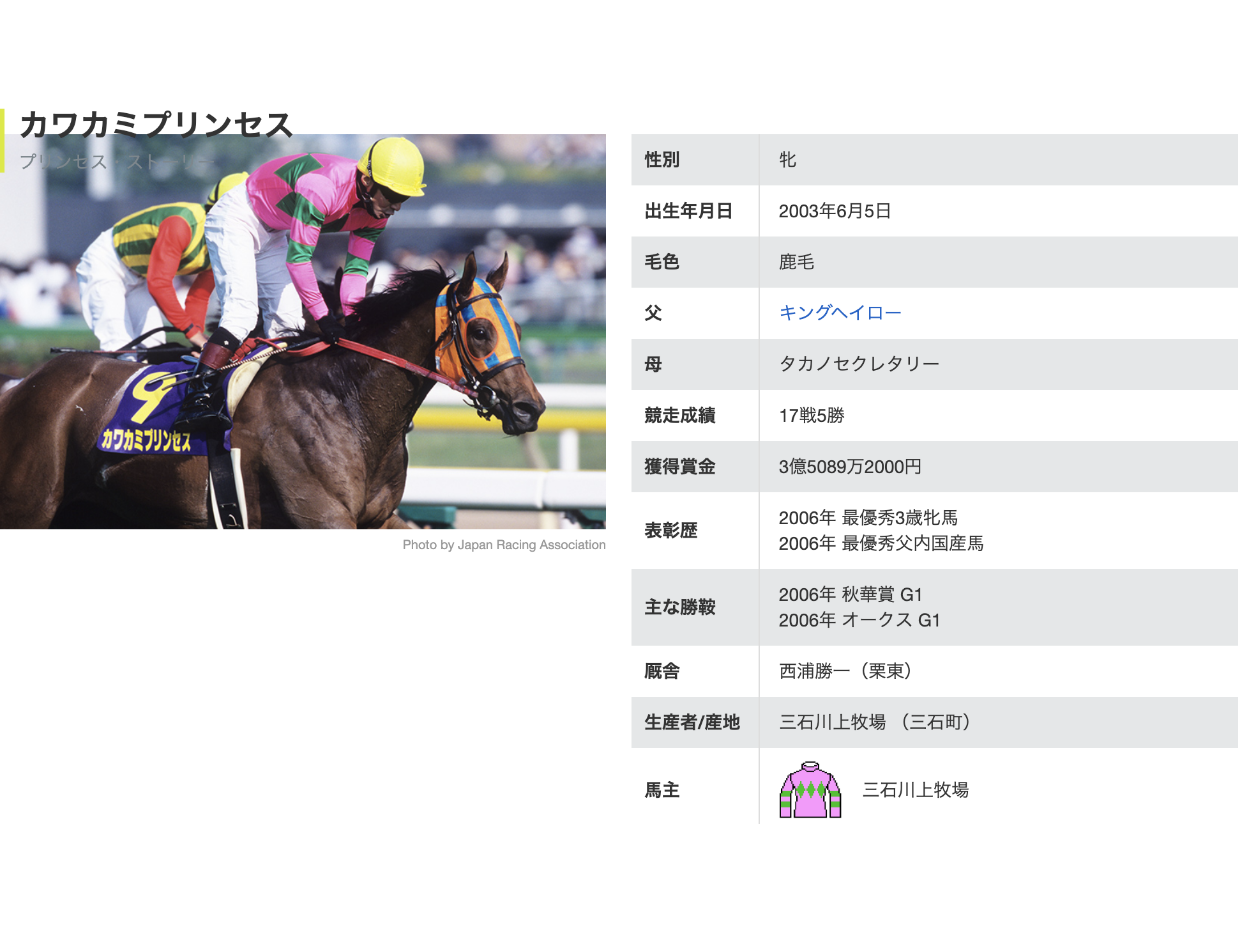 NEW 【カワカミプリンセス】三石川上牧場公式ロング T-シャツ KAWAKAMI PRINCESS LONG T 2023  Pink/White