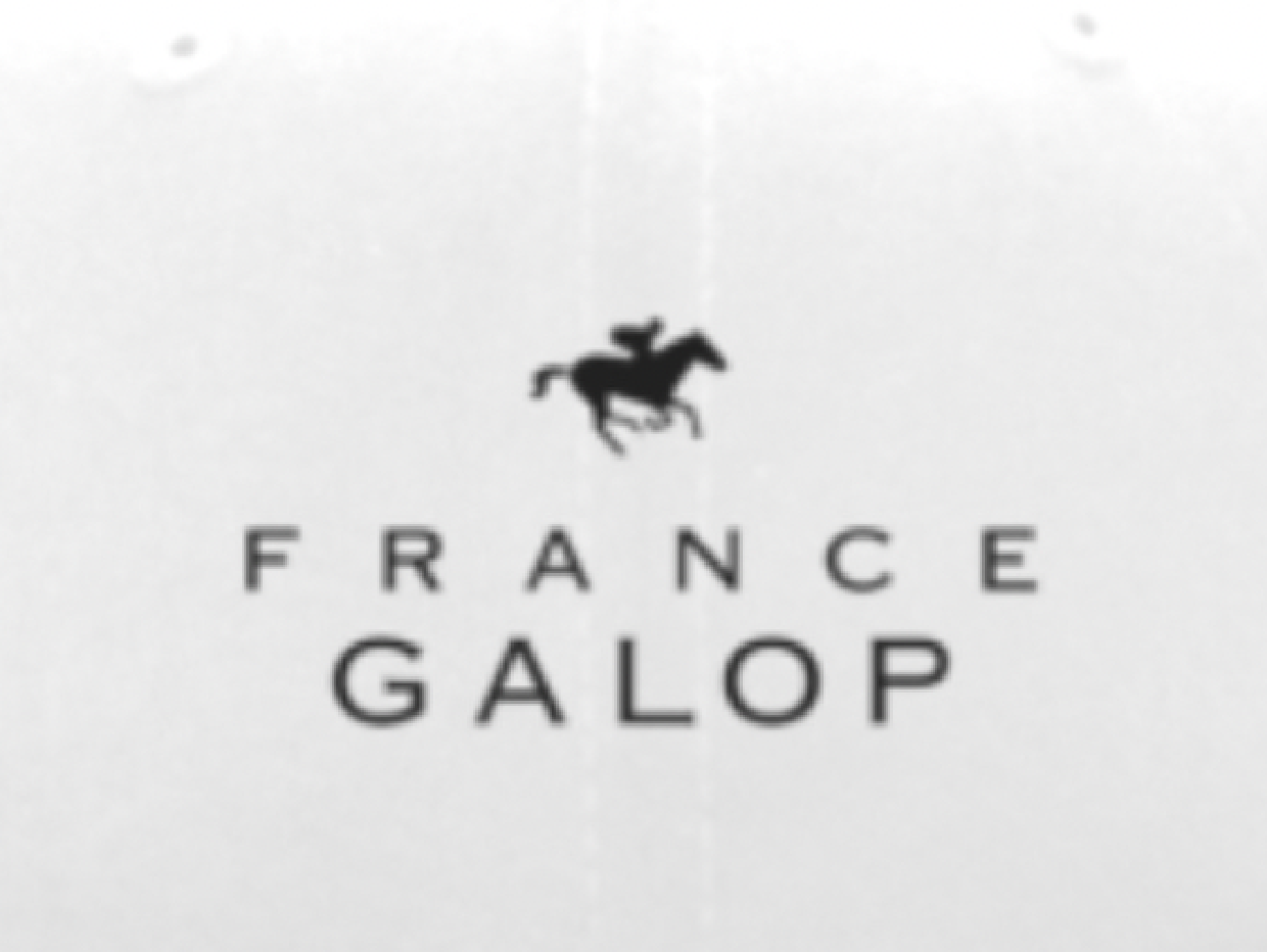 【France Galop】 フランスギャロ公式 NEWERA限定 CAP 白 （ NEWERA 9FIFTY FLAT BILL SNAP BACK CAP White）