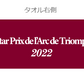【凱旋門賞記念】QATAR 2022 公式カラーマフラータオル（DeepRed）