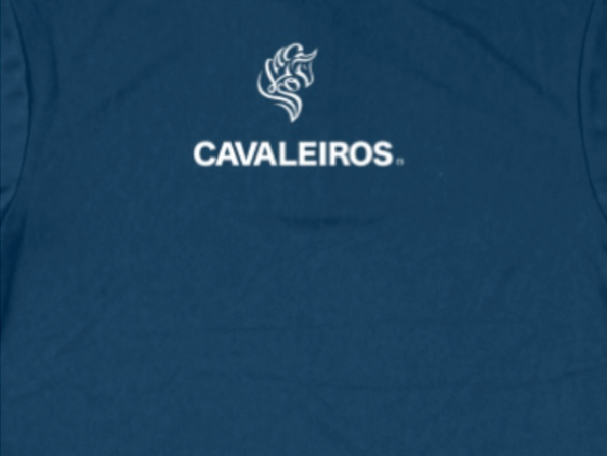 【CAVALEIROS】 カバレイロス ポロシャツ ネイビー POLO SHIRTS （Navy）