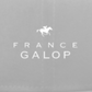 限定【France Galop】フランスギャロ ニューエラ FRANCE GALOP （ NEWERA 9FIFTY FLAT BILL SNAP BACK CAP GRAY）