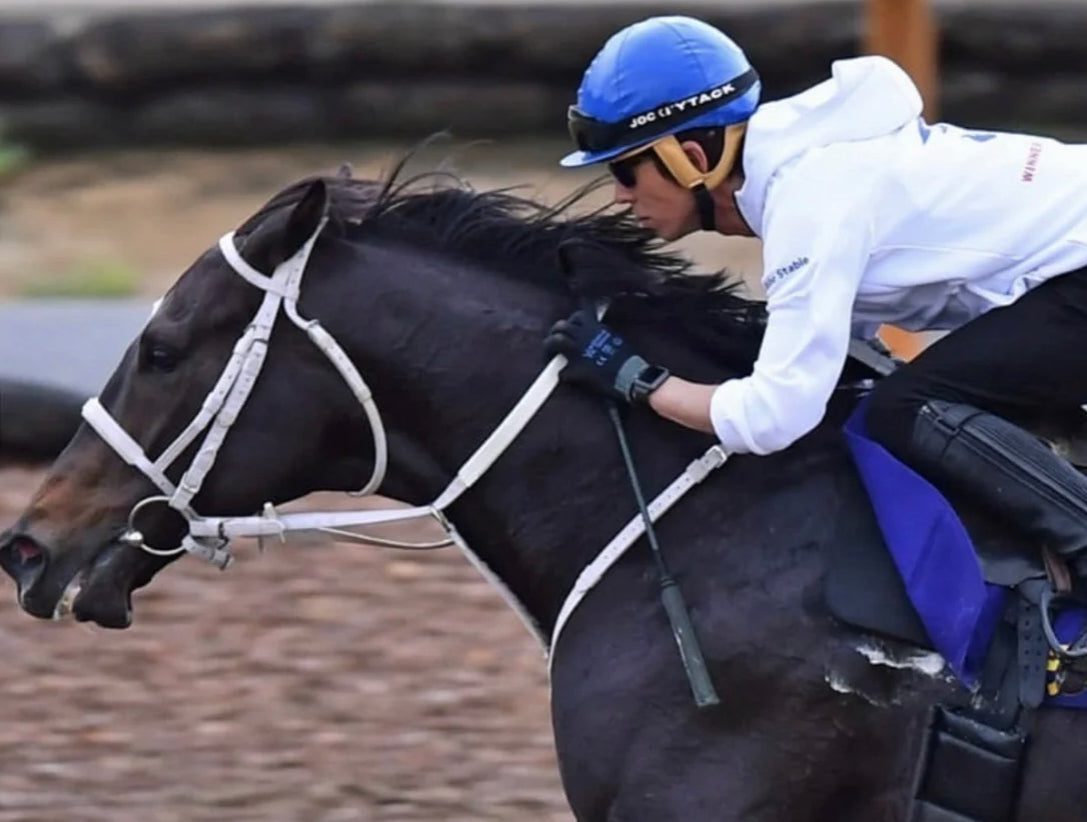 大人気【ディープボンド】フォア賞 優勝記念 大久保厩舎公式 和田竜二